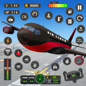 Real Flight Sim Airplane