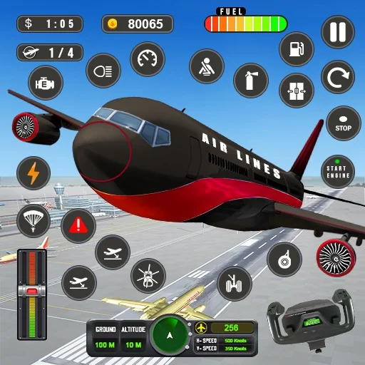 Real Flight Sim Airplane