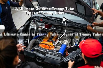 Tranny Tube
