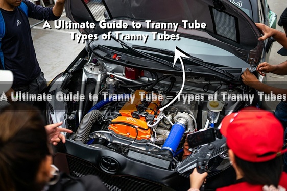 Tranny Tube