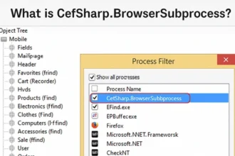 What is CefSharp BrowserSubproce