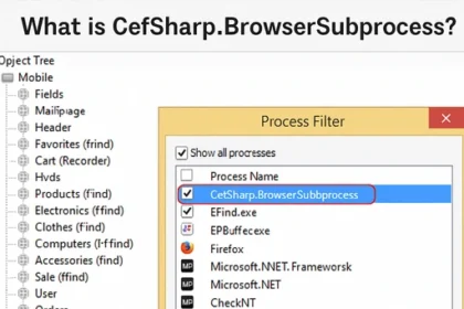What is CefSharp BrowserSubproce